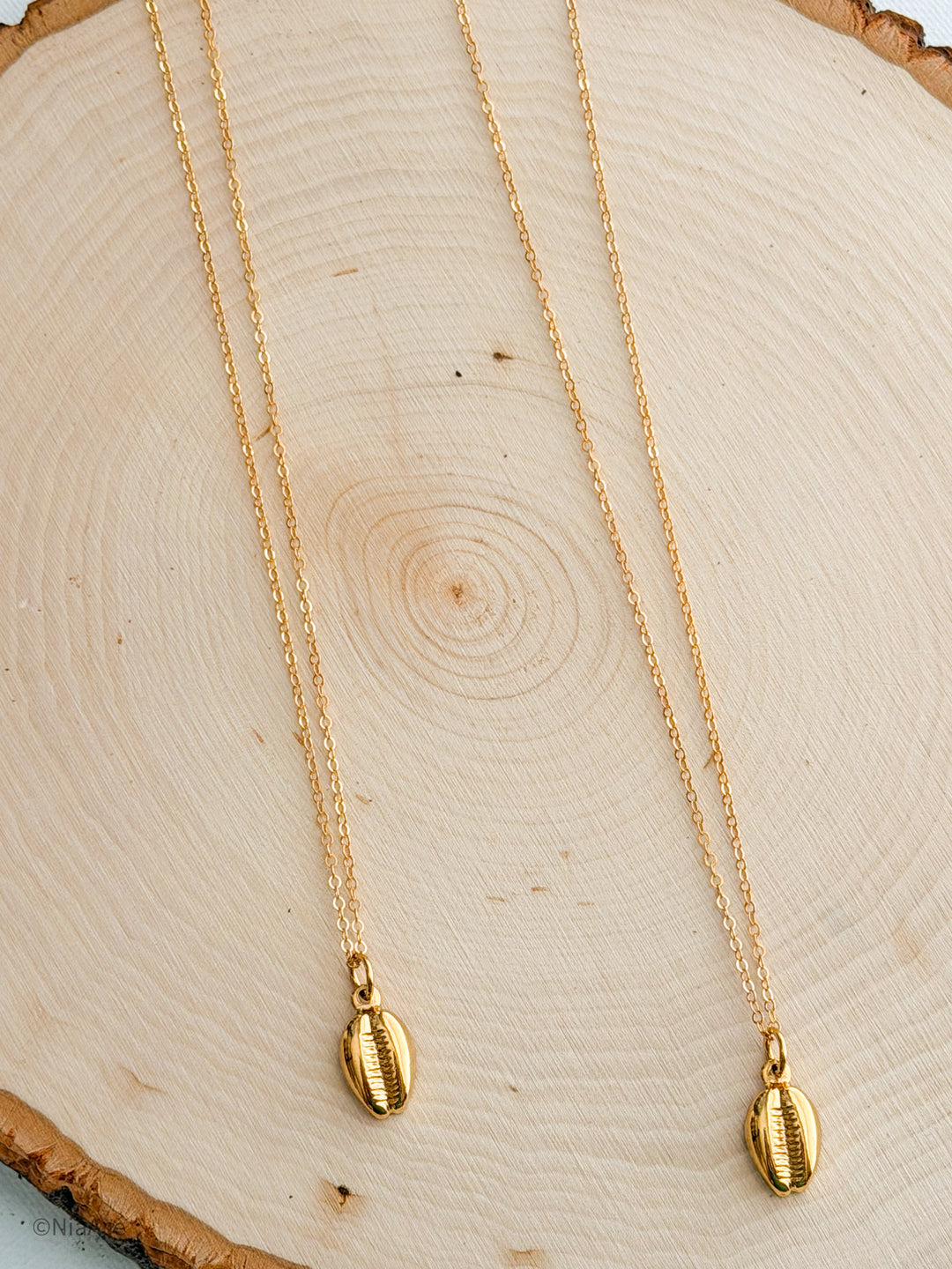 Prosperity Necklace | 14kt Gold Filled Cowrie Shell Necklace